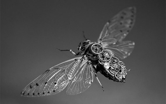 О студии SEO и разработка сайтов